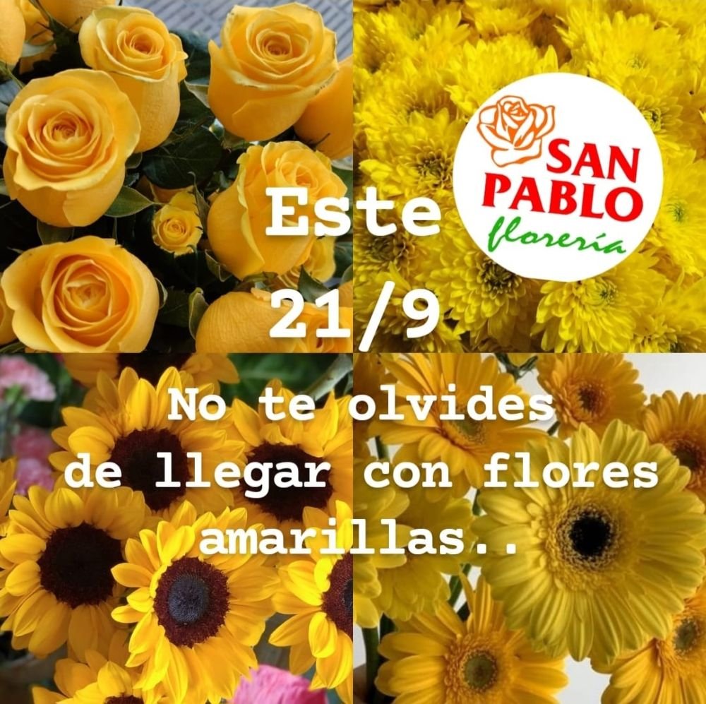 Florería San Pablo - Afiche 18 (1)